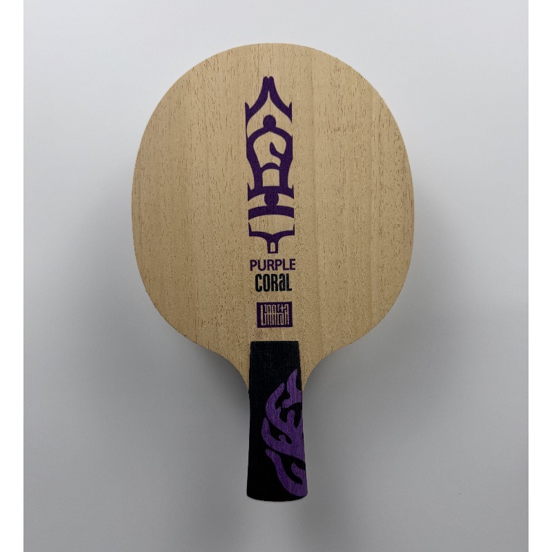Pala de Tenis de Mesa Meteor P - Table Tennis Racket reseña y precio
